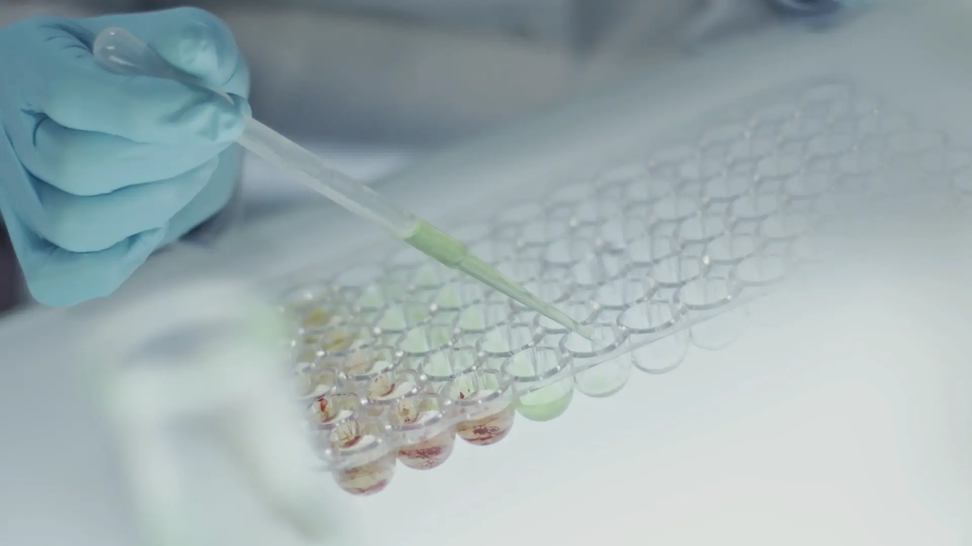 Chemicals testing